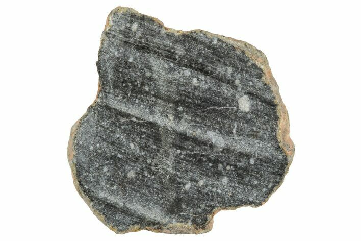 Polished Lunar Meteorite ( g) End Cut Slice - NWA #333126